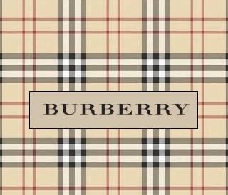 my burberry plaid case|burberry factory outlet online store.